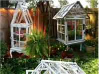 The best do-it-yourself greenhouse projects: summer and winter options