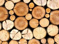 Where can I sell wood products