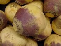 Sarna nas batatas: como tratar a terra para evitar esse flagelo